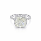 SIGOR 925 Silver Cushion Halo Ring