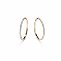 Golden Halo Spark Hoops