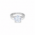 Eternal Sparkle Ring